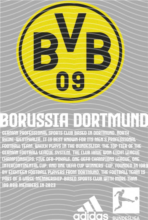 NBA and Team-QD 1133